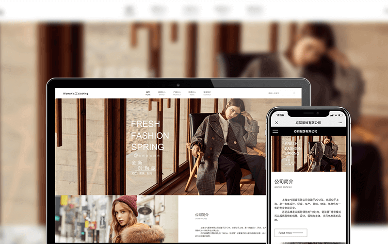 服装网站建设案例